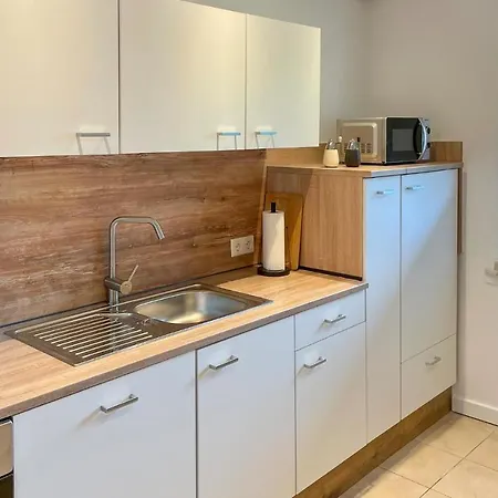 Apartment Cozy In With Kitchen